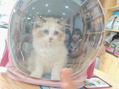 -宠颐生宠物医院·异宠猫科内科·诊疗中心宠巢店