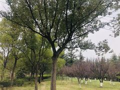 -黄兴公园