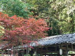 -桂林古东瀑布景区