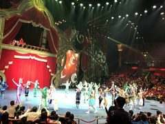 -珠海横琴长隆《卡卡虎奇遇记》