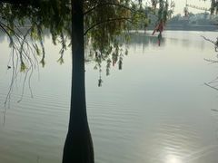 -东莞市虎英郊野公园