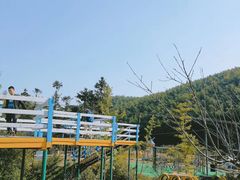 -宁波浙东大竹海景区
