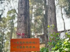 -寂照庵