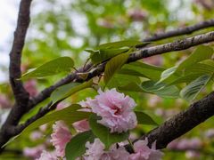 -天鹅湖体育公园