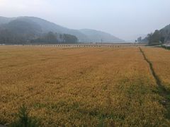 -南泥湾风景区