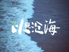 -枸杞岛