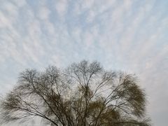 -汉江湾体育公园