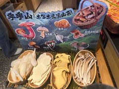 -季季山·云南野生菌火锅(上海首店)