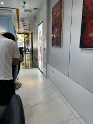 -YESIDO椰岛造型