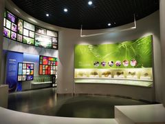 -国家自然博物馆