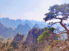 -大连天门山国家森林公园