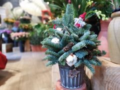 -花到家(富贵鸟花艺行)