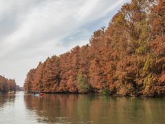 -上海海湾国家森林公园