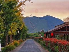 -帐篷客·溪龙茶谷度假酒店