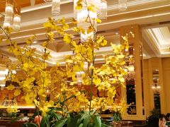 大堂-福楼法餐厅FLO