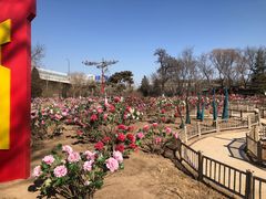 -太原动物园