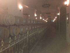 -北京张裕爱斐堡酒庄