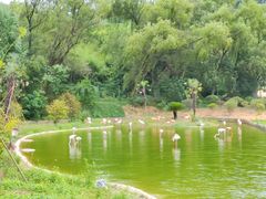 -杭州野生动物世界