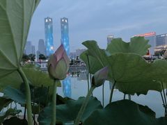 -秋水广场音乐喷泉