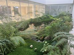 -罗红摄影艺术馆