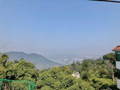 -南山植物园
