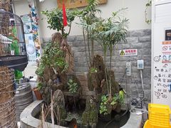 -丽江庭院之丽江往事(安定门店)