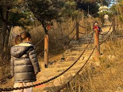 -北京十三陵国家森林公园蟒山景区