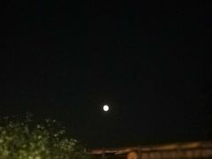 -潮喜竹溪荔湖酒家(荔枝湾店)