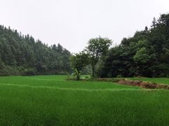-常德桃花源景区