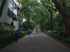 -杭州半山国家森林公园