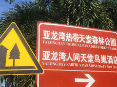 -亚龙湾热带天堂森林公园