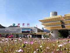 -芦芽山旅游度假区