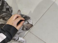 -怪兽屋·羊驼·猫咖·狗咖(俊华广场店)