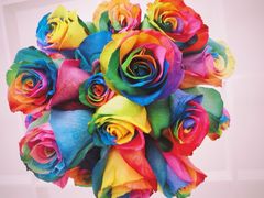 iphone_upload_pic-ROSEONLY诺誓(青岛万象城店)