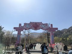 -北京凤凰岭