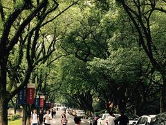 -浙江大学(玉泉校区)