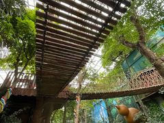 -呀路古热带植物园
