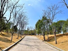 -牛岗山公园