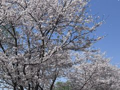 -长田漾湿地公园