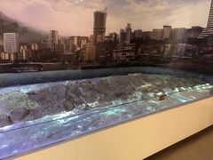 -白鹤梁水下博物馆