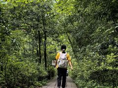 -西岭雪山大飞水景区