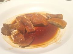 -新兴·金羊座·粤菜点心(乐峰店)