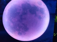 -天津梵高星空艺术馆(天河城旗舰店)