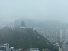 -索菲特酒店·乐轩华中餐厅