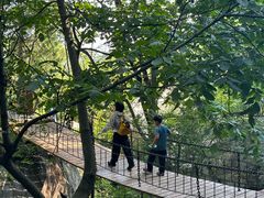 -秦岭终南山世界地质公园翠华山景区
