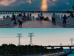 -宝安西湾红树林湿地公园