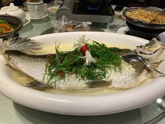古法盐水蒸北江大禾顺鱼-山泉公馆酒家(广州东站店)