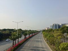 -宝安西湾红树林湿地公园