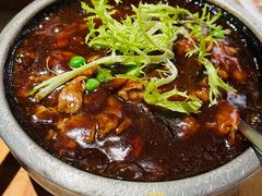 -佬肥猫(国华广场店)