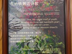 -上海游泳馆(地铁站)